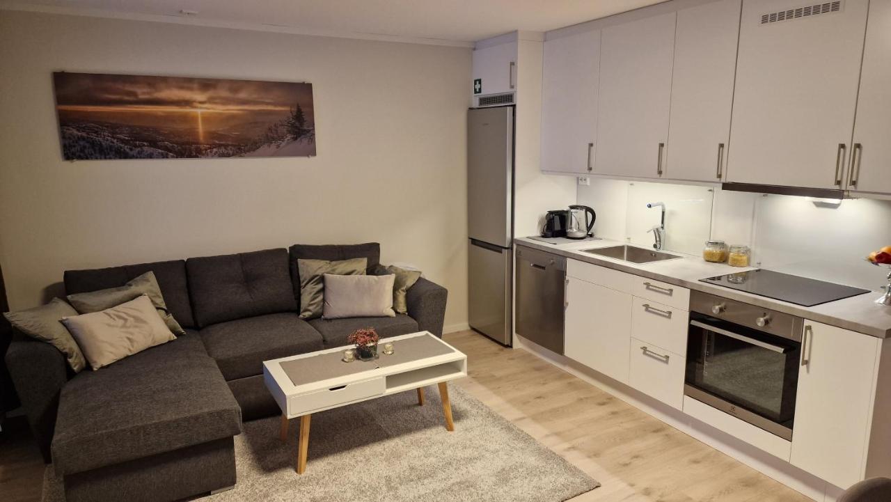 Haugetuft Apartments Amot  エクステリア 写真